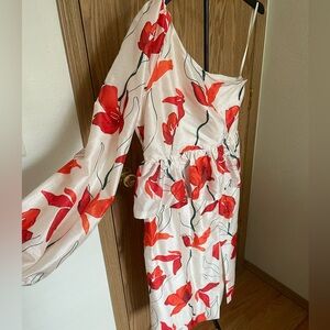 Anthropologie Hutch Red Floral One-Shoulder Dress